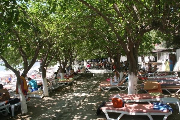 Meteor Beach Hotel Turgutreis Exteriör bild