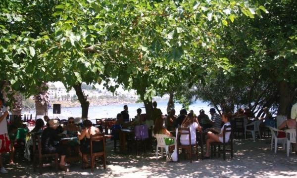 Meteor Beach Hotel Turgutreis Exteriör bild